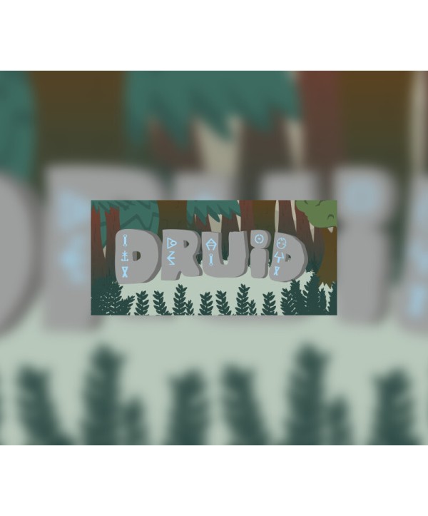 Druid Steam Key GLOBAL